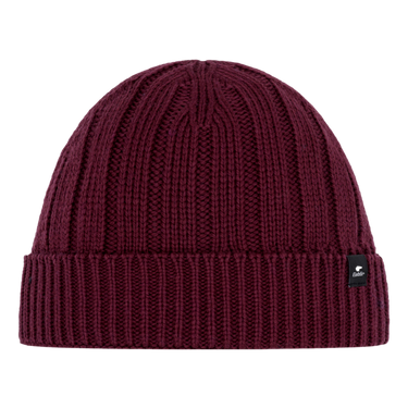 Polar bear hat Brock Pompon
