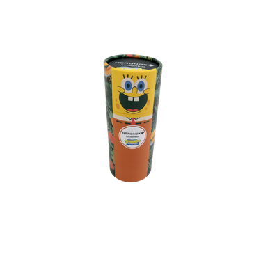 Bavarian Caps Sockenbox Spongebob Aloha