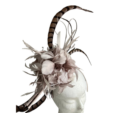 Emma B Fascinator Federn - Emma B - hutwelt