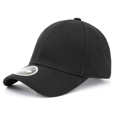 UA Northeast Division Cap